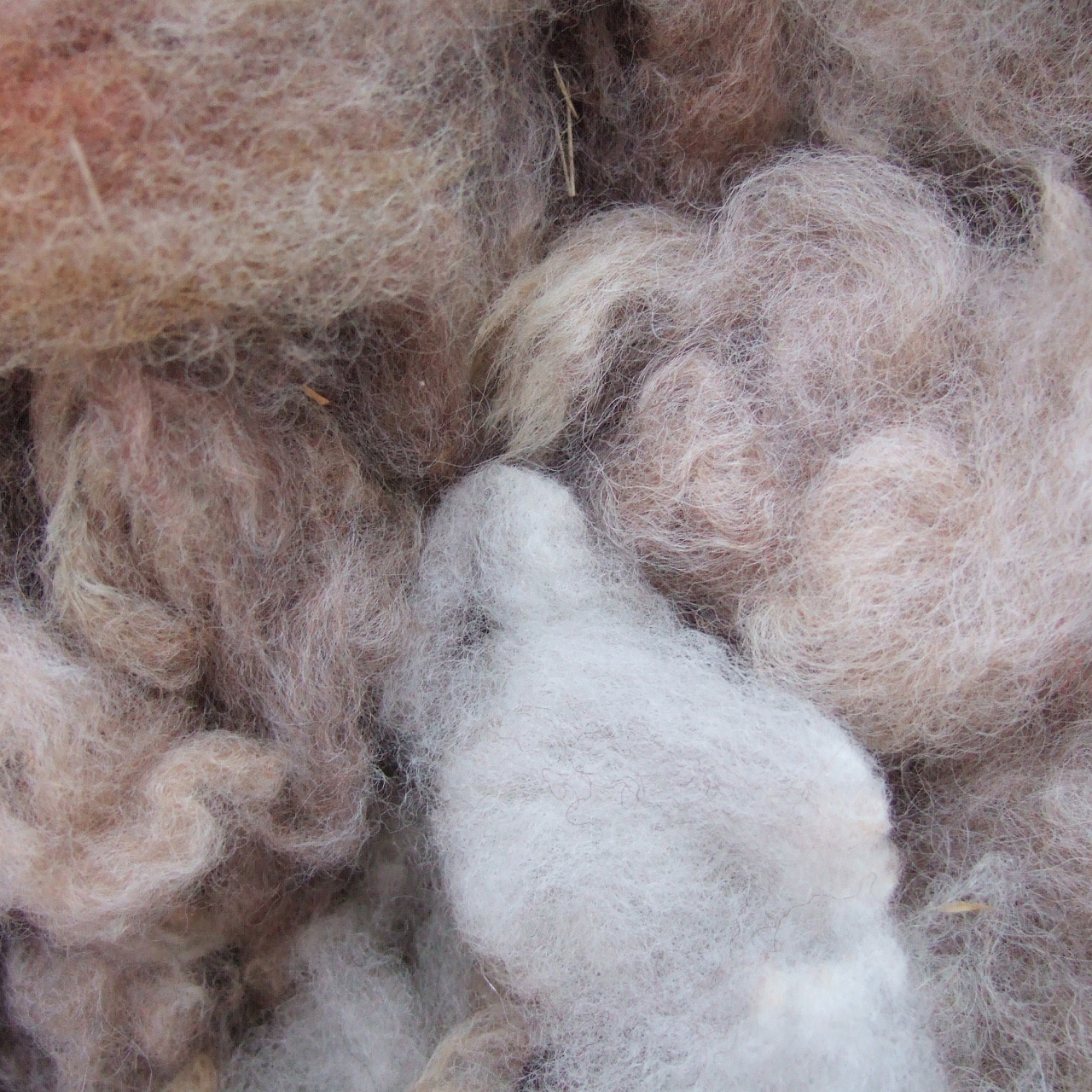 Одеяло Караван легкое